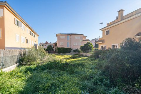 Helårsgrund i Llucmajor, Mallorca, Llucmajor - € 318.000 | Ref: 07RG001MO/3010 - foto 16