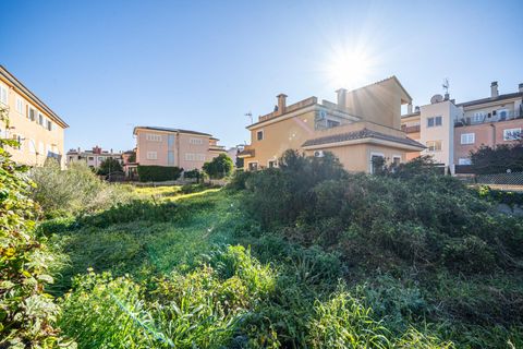Helårsgrund i Llucmajor, Mallorca, Llucmajor - € 318.000 | Ref: 07RG001MO/3010 - foto 17