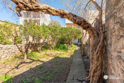 Villa a Alaro, Mallorca, Alaro - € 680.000 | Ref: VDA05126/13188 - foto 21