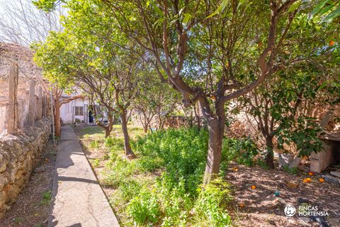 Villa a Alaro, Mallorca, Alaro - € 680.000 | Ref: VDA05126/13188 - foto 22