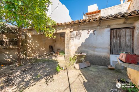 Villa a Alaro, Mallorca, Alaro - € 680.000 | Ref: VDA05126/13188 - foto 23
