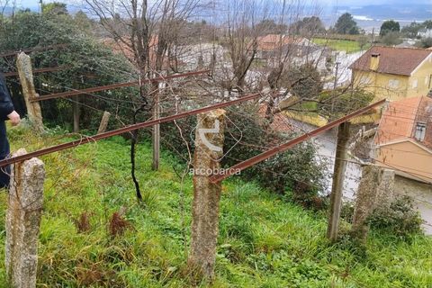 Helårsgrund i Valenca, Viana do Castelo, Valenca - € 20.000 | Ref: AV6642 - foto 3