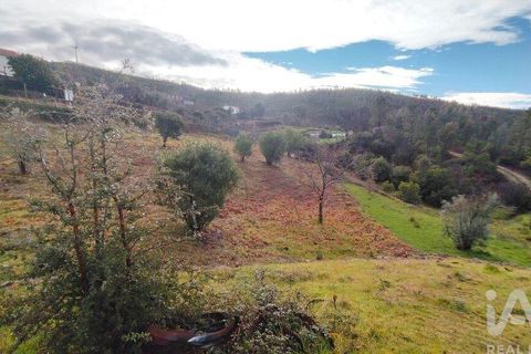 Byhus i Serta, Castelo Branco, Serta - € 125.000 | Ref: 821214 - foto 16