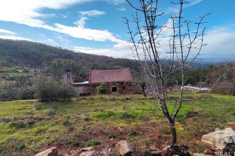 Byhus i Serta, Castelo Branco, Serta - € 125.000 | Ref: 821214 - foto 21