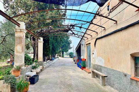 Villa i Tortosa, Tarragona, Tortosa - € 260.000 | Ref: 4238FZ/6931 - foto 4