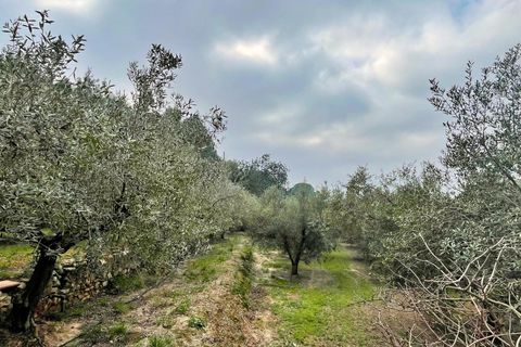 Villa i Tortosa, Tarragona, Tortosa - € 260.000 | Ref: 4238FZ/6931 - foto 39