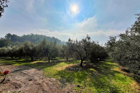 Villa i Tortosa, Tarragona, Tortosa - € 260.000 | Ref: 4238FZ/6931 - foto 40