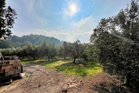 Villa i Tortosa, Tarragona, Tortosa - € 260.000 | Ref: 4238FZ/6931 - foto 41