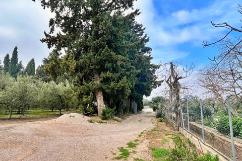 Villa i Tortosa, Tarragona, Tortosa - € 260.000 | Ref: 4238FZ/6931 - foto 48