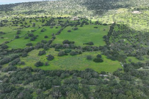 Helårsgrund i Ragusa, Ragusa, Ragusa - € 119.000 | Ref: L 2159 E1 - foto 10
