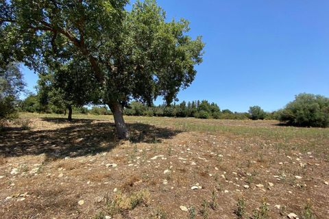 Villa i Noto, Siracusa, Noto - € 170.000 | Ref: L 2167 - foto 49