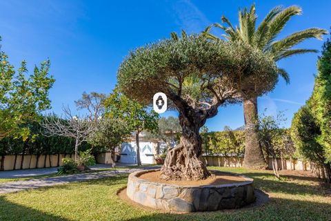 Villa a Alcudia, Mallorca, Alcudia - € 1.100.000 | Ref: P002650/10684 - foto 41