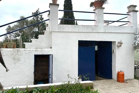 Villa i Tortosa, Tarragona, Tortosa - € 208.000 | Ref: EXP13402/8930 - foto 8