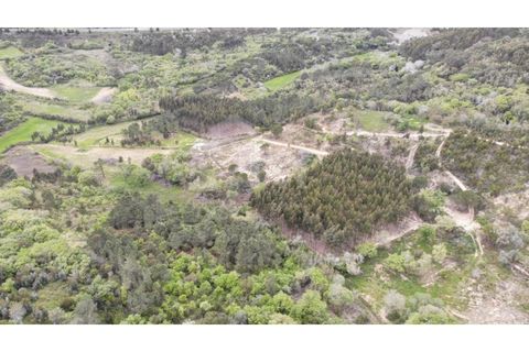Grond in Mafra, Lisbon, Mafra - € 410.000 | Ref: V24103 - foto 18