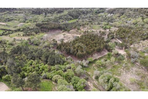 Grond in Mafra, Lisbon, Mafra - € 410.000 | Ref: V24103 - foto 19
