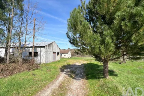 Farm i Mangualde, Viseu, Mangualde - € 190.000 | Ref: 828182 - foto 2