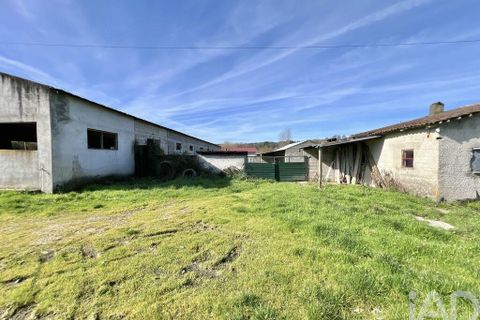 Farm i Mangualde, Viseu, Mangualde - € 190.000 | Ref: 828182 - foto 4