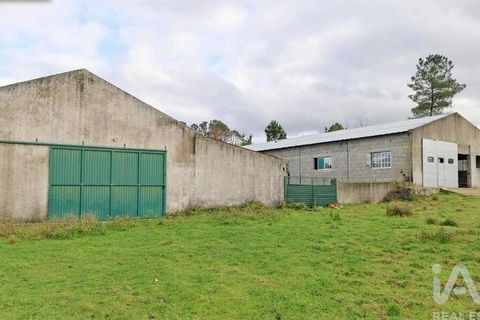Farm i Mangualde, Viseu, Mangualde - € 190.000 | Ref: 828182 - foto 6