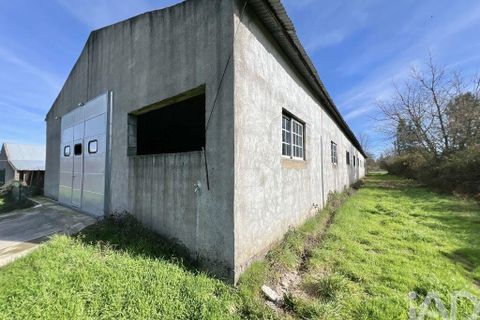 Farm i Mangualde, Viseu, Mangualde - € 190.000 | Ref: 828182 - foto 11