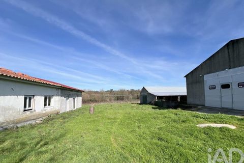 Farm i Mangualde, Viseu, Mangualde - € 190.000 | Ref: 828182 - foto 13