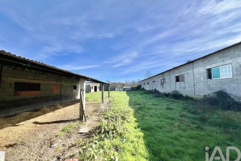 Farm i Mangualde, Viseu, Mangualde - € 190.000 | Ref: 828182 - foto 15