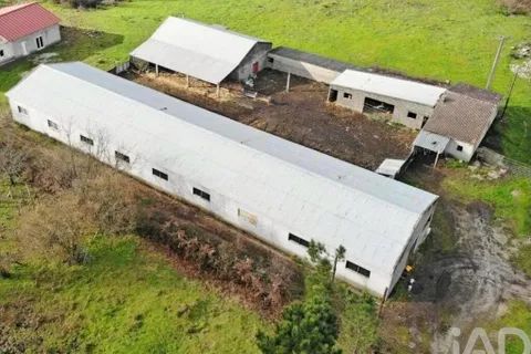 Farm i Mangualde, Viseu, Mangualde - € 190.000 | Ref: 828182 - foto 16