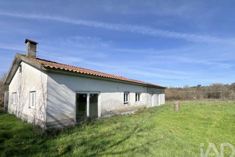 Farm i Mangualde, Viseu, Mangualde - € 190.000 | Ref: 828182 - foto 17