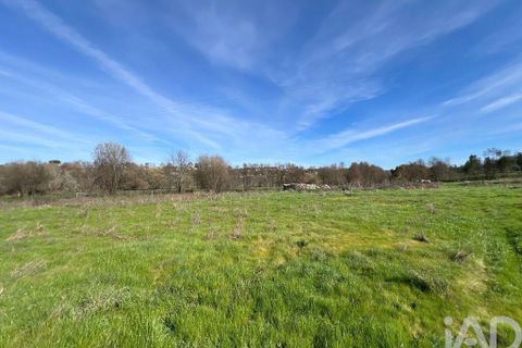 Farm i Mangualde, Viseu, Mangualde - € 190.000 | Ref: 828182 - foto 19
