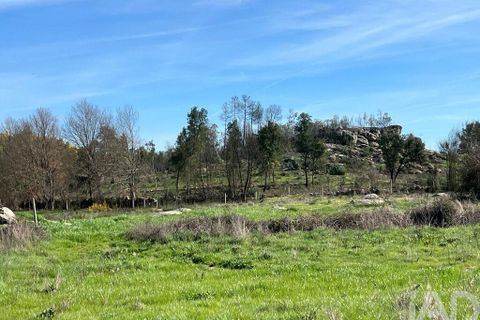 Farm i Mangualde, Viseu, Mangualde - € 190.000 | Ref: 828182 - foto 20