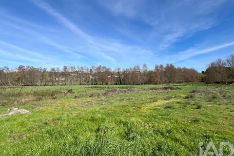 Farm i Mangualde, Viseu, Mangualde - € 190.000 | Ref: 828182 - foto 21