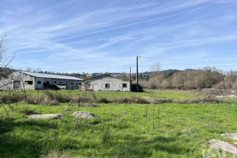Farm i Mangualde, Viseu, Mangualde - € 190.000 | Ref: 828182 - foto 25