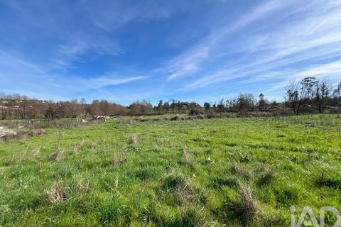 Farm i Mangualde, Viseu, Mangualde - € 190.000 | Ref: 828182 - foto 28