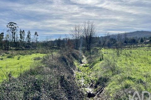 Farm i Mangualde, Viseu, Mangualde - € 190.000 | Ref: 828182 - foto 31