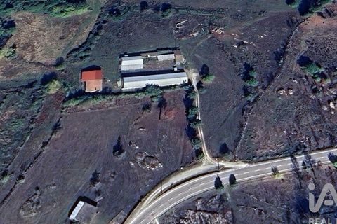 Farm i Mangualde, Viseu, Mangualde - € 190.000 | Ref: 828182 - foto 32