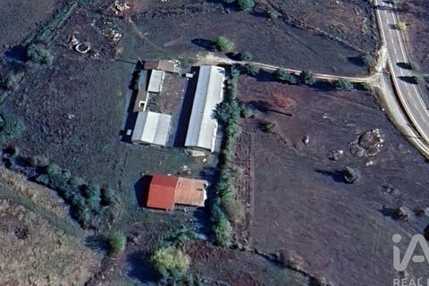 Farm i Mangualde, Viseu, Mangualde - € 190.000 | Ref: 828182 - foto 33