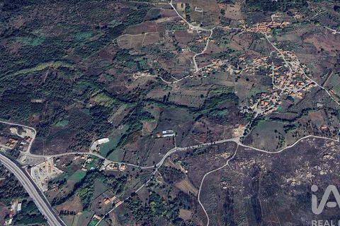 Farm i Mangualde, Viseu, Mangualde - € 190.000 | Ref: 828182 - foto 34