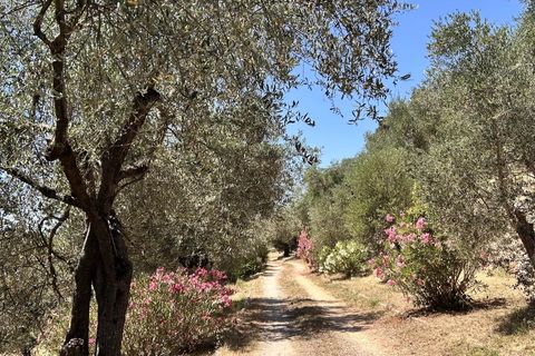 Villa i Grasse, Alpes-Maritimes, Grasse - € 5.000.000 | Ref: HH-16088561 - foto 21