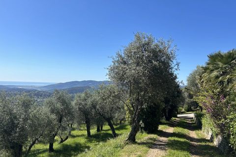 Villa i Grasse, Alpes-Maritimes, Grasse - € 5.000.000 | Ref: HH-16088561 - foto 23