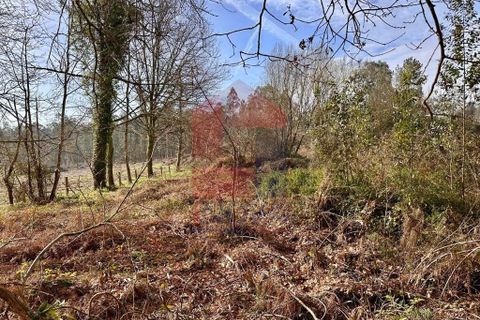 Helårsgrund i Vila Verde, Braga, Vila Verde - € 15.000 | Ref: 08811 - foto 3
