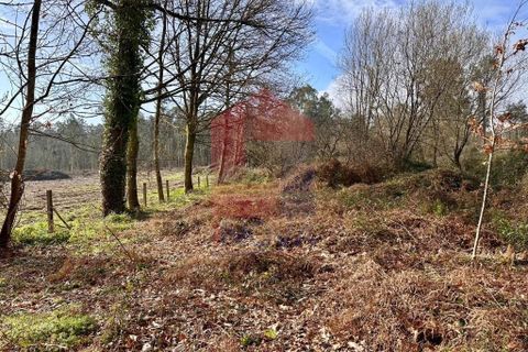 Helårsgrund i Vila Verde, Braga, Vila Verde - € 15.000 | Ref: 08811 - foto 5