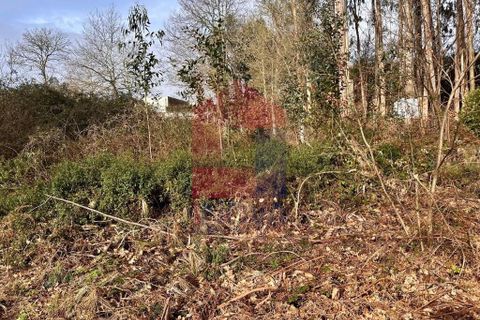 Helårsgrund i Vila Verde, Braga, Vila Verde - € 15.000 | Ref: 08811 - foto 7