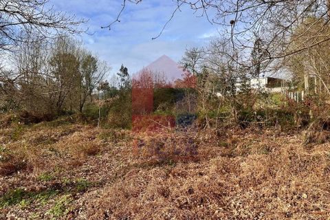 Helårsgrund i Vila Verde, Braga, Vila Verde - € 15.000 | Ref: 08811 - foto 8