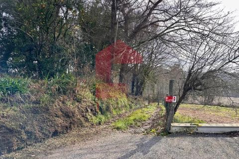 Helårsgrund i Vila Verde, Braga, Vila Verde - € 15.000 | Ref: 08811 - foto 12