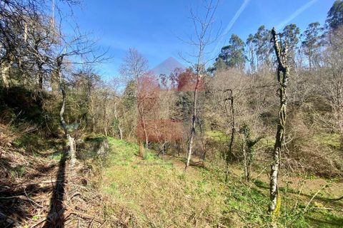 Helårsgrund i Vila Verde, Braga, Vila Verde - € 12.000 | Ref: 08810 - foto 1