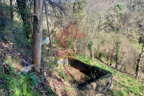 Helårsgrund i Vila Verde, Braga, Vila Verde - € 12.000 | Ref: 08810 - foto 3