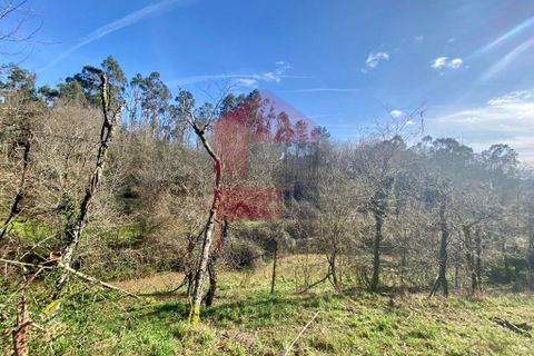 Helårsgrund i Vila Verde, Braga, Vila Verde - € 12.000 | Ref: 08810 - foto 4