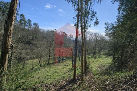 Helårsgrund i Vila Verde, Braga, Vila Verde - € 12.000 | Ref: 08810 - foto 5