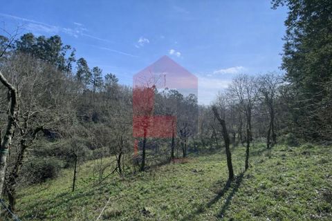 Helårsgrund i Vila Verde, Braga, Vila Verde - € 12.000 | Ref: 08810 - foto 6
