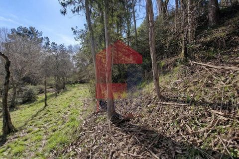 Helårsgrund i Vila Verde, Braga, Vila Verde - € 12.000 | Ref: 08810 - foto 7