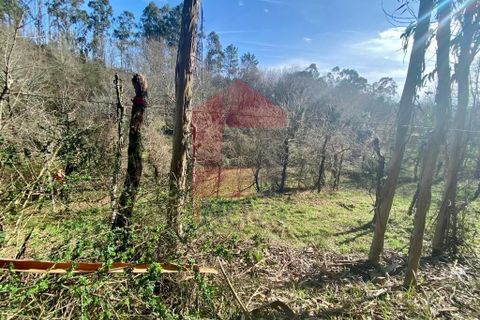 Helårsgrund i Vila Verde, Braga, Vila Verde - € 12.000 | Ref: 08810 - foto 8